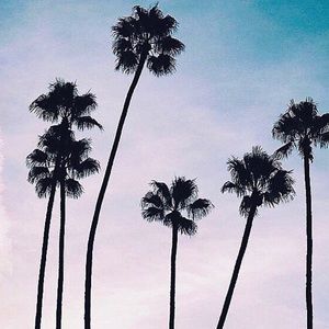 Meet your Posher, Alexa